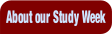 About our Study Week.